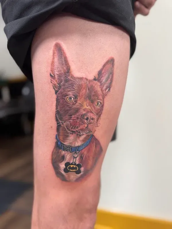 Dapper Dog Tattoo — Tattoo shop in Annapolis